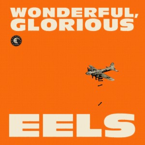 Cover of 'Wonderful, Glorious' - Eels